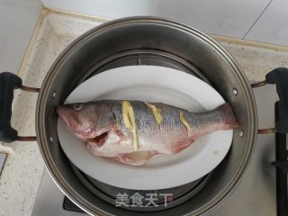 清蒸鲈鱼的做法步骤：4