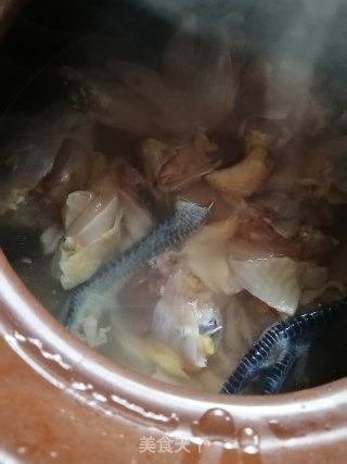 玉米鸡的做法步骤：4
