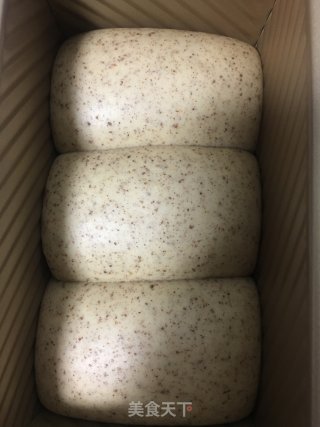 中种全麦吐司的做法步骤：13