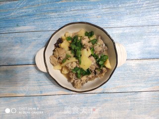 清炖鸡肉的做法步骤：7