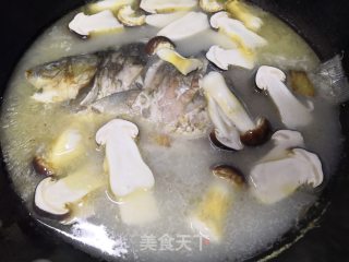 鲫鱼松茸汤的做法步骤：9