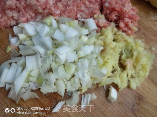 爱心羊肉丸子的做法步骤：5