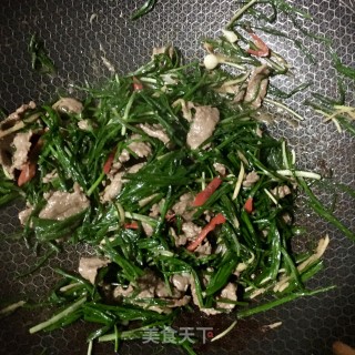 野葱炒牛肉的做法步骤：17