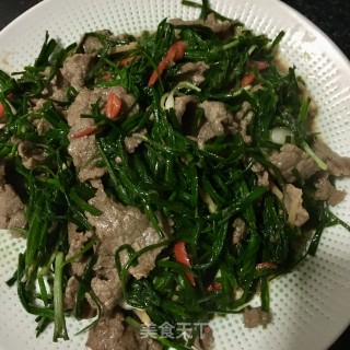 野葱炒牛肉的做法步骤：18