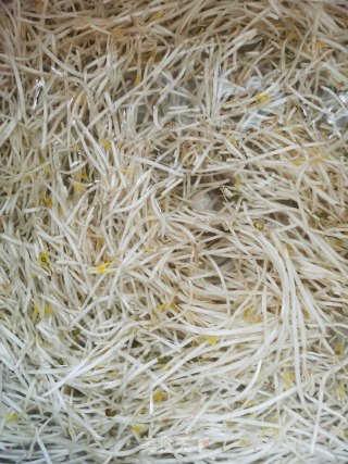 绿豆芽炒海带丝的做法步骤：1