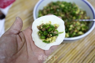 老鸭肉辣椒粉丝饺子的做法步骤：10