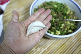 老鸭肉辣椒粉丝饺子的做法步骤：11