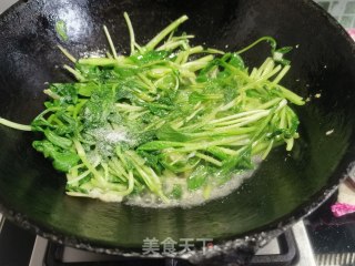 蒜蓉鸡毛菜的做法步骤：6
