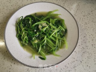 蒜蓉鸡毛菜的做法步骤：8