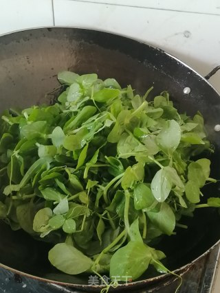 豌豆尖的做法步骤：3