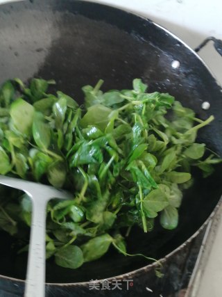 豌豆尖的做法步骤：4