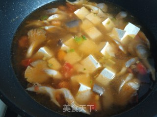 双菇番茄豆腐汤的做法步骤：11