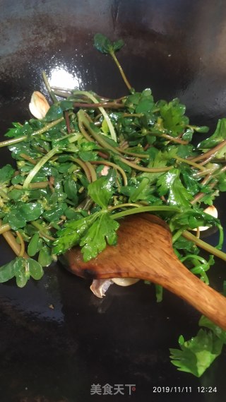 蒜头爆炒马齿苋的做法步骤：5