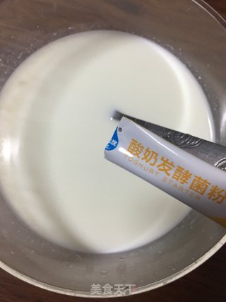 奶粉做酸奶的做法步骤：5