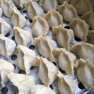 萝卜猪肉水饺的做法步骤：8