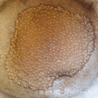 热椰奶西芒果西米露的做法步骤：4