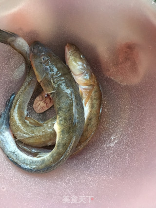 海鲶鱼炖豆腐的做法步骤：1