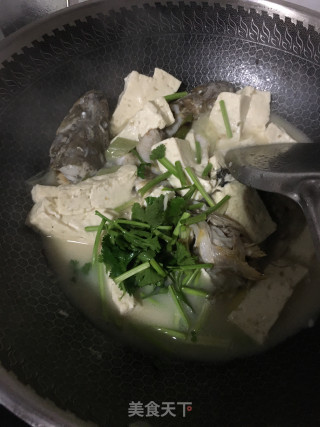 海鲶鱼炖豆腐的做法步骤：13