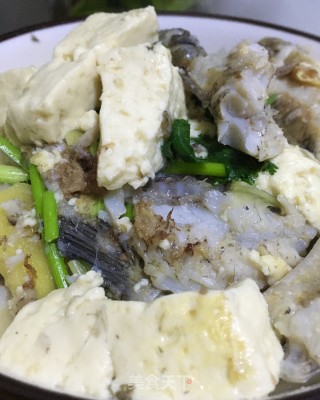 海鲶鱼炖豆腐的做法步骤：16