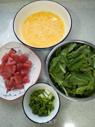 西红柿小白菜炒鸡蛋的做法步骤：4