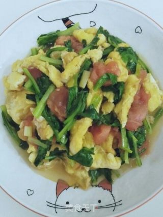 西红柿小白菜炒鸡蛋的做法步骤：6