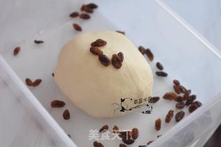 葡萄干吐司的做法步骤：6