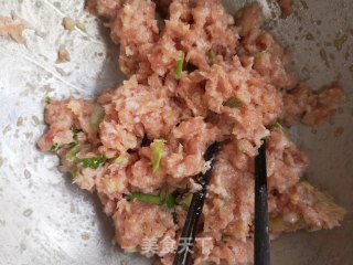 猪肉白菜蒸包的做法步骤：16