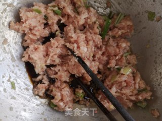 猪肉白菜蒸包的做法步骤：17
