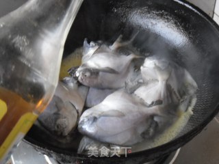 清炖晶鱼的做法步骤：4