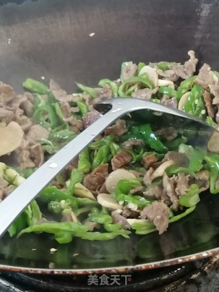 辣椒炒牛肉的做法步骤：8