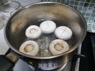 鲜磨油菜的做法步骤：4
