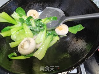 鲜磨油菜的做法步骤：13