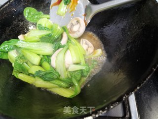 鲜磨油菜的做法步骤：15