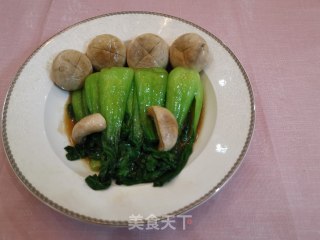 鲜磨油菜的做法步骤：17