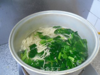菠菜火腿热汤面的做法步骤：9