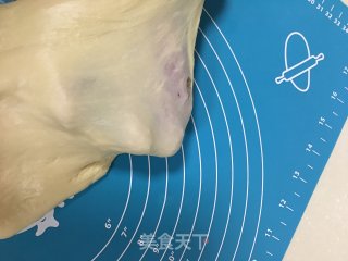 中种椰蓉蔓越莓面包的做法步骤：6