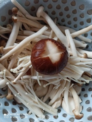 菌菇豆腐锅的做法步骤：1
