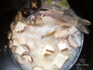 香菇豆腐鲫鱼汤的做法步骤：4