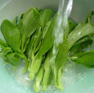 开洋笋尖炒菜芯的做法步骤：4
