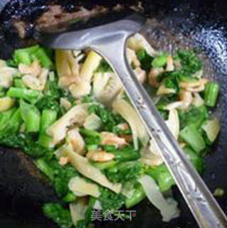 开洋笋尖炒菜芯的做法步骤：10