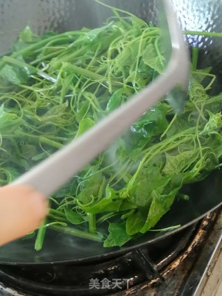 清炒佛手瓜尖的做法步骤：3