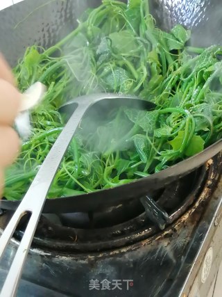 清炒佛手瓜尖的做法步骤：4