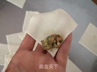 菜芯猪肉馄饨的做法步骤：11