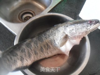 水煮鱼片的做法步骤：1