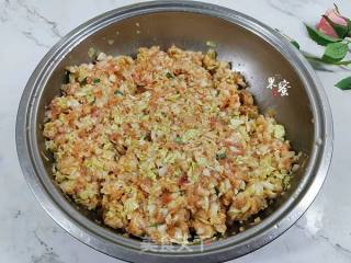 白菜猪肉饺子的做法步骤：4
