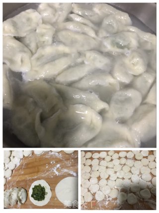 茼蒿猪肉馅水饺的做法步骤：6