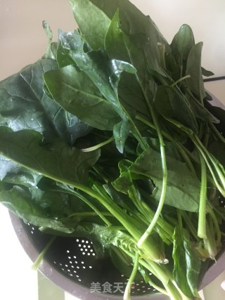 蒜香菠菜的做法步骤：1