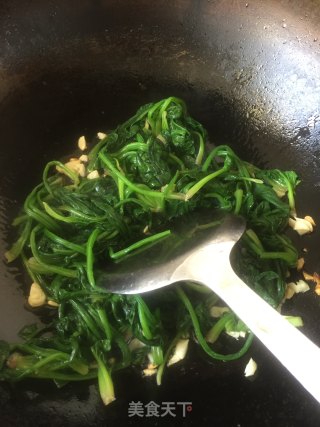 蒜香菠菜的做法步骤：4