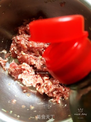 牛肉丸子萝卜汤的做法步骤：5