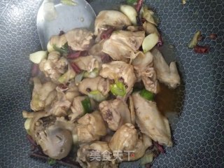 家常小鸡喝饼的做法步骤：6